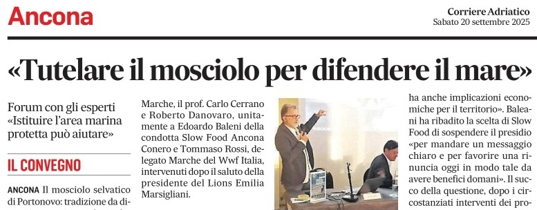 Tutelare il mosciolo per difendere il mare.